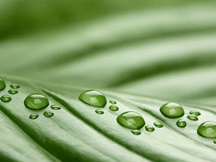 Primex Digital CEO Talks Diversity, Equity, and Inclusion